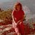 Colleen Collins Cripe's profile image