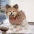 Bev Thorsteinson's profile image