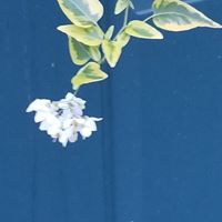 Sandy Grambow's profile image