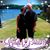 DiAnna Ervin Walter's profile image