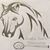 Sandie Creek Polocrosse's profile image