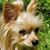 Jean Grubb Brown's profile image