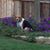 Janet Adams's profile image