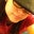 Laura Canales's profile image