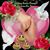 Rossy Garsia's profile image