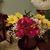 Sidne Kardos's profile image