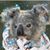 Belinda Gidley's profile image