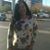 Ofelia M. Cardenas's profile image