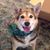 Lisa Laveck's profile image