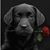 Brandi Bucklew's profile image
