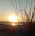 Arthurs Sheri's profile image