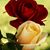 Lider Poderosa MP's profile image