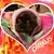 Carol Benish's profile image