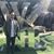 Scott Aduddell's profile image