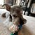 Lilly Tkalec Benton's profile image