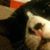 Abdo Korin's profile image