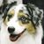 Lisa Pappas's profile image