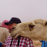 Daniel N.'s profile image