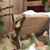 Christine Gardner Sabey TaMara's profile image