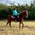 Kathy Kerr's profile image