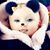 Patricia Ann Edwards's profile image