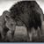 Michele Gause's profile image