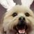 Sandi Renner's profile image