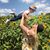 Kristin Morro's profile image