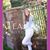 Cassidy Dunaway's profile image