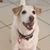 Olga Moule's profile image