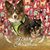 Lisa Watson Casay's profile image
