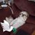 Robbin Blankenship's profile image