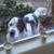 Donna Zurcher's profile image