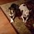 Susan Neely's profile image