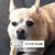 Donna Skidmore's profile image