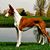 Rose Bednarski's profile image