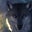Dawn Altenburg's profile image