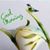 Pakunitedforever Tahir's profile image