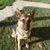 Walter Catacora Gomez's profile image