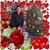 Valentin Olvera's profile image