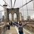 Mary J McCaa's profile image