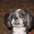 Carla Messer's profile image