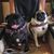 AnnMarie Weis's profile image