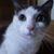 April Steinfort's profile image