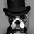 Ray J Vitter Jr.'s profile image