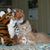 Angie Rasner's profile image