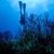 Sharon Urquidi's profile image
