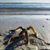 Pauline Frances Louise's profile image
