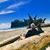 Jon Wolf's profile image