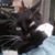 Michael William White's profile image